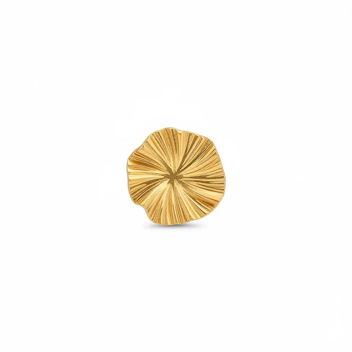 Boucle d'Oreille Old Money
